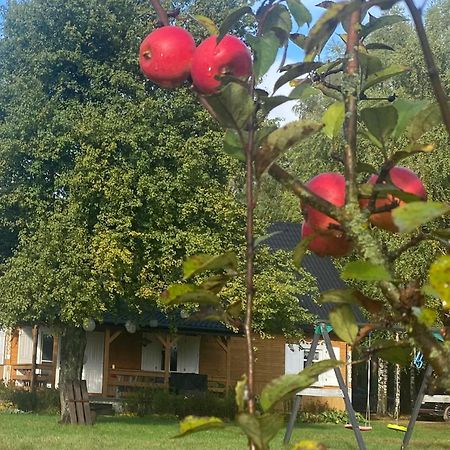 Villa Wakacyjny Dom W Sakach Kleszczele Esterno foto